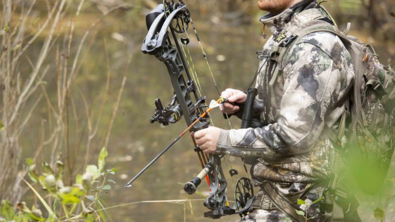 Understanding Compound Bows