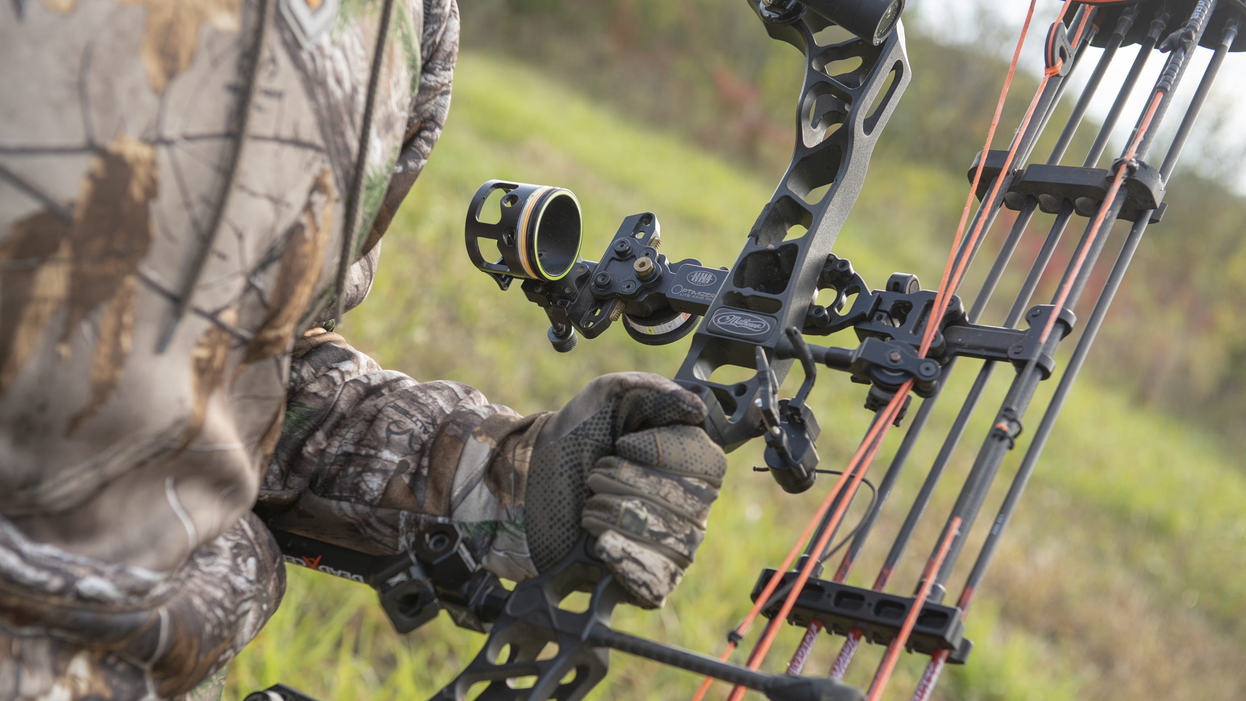 Types Of Bows Bowhunting