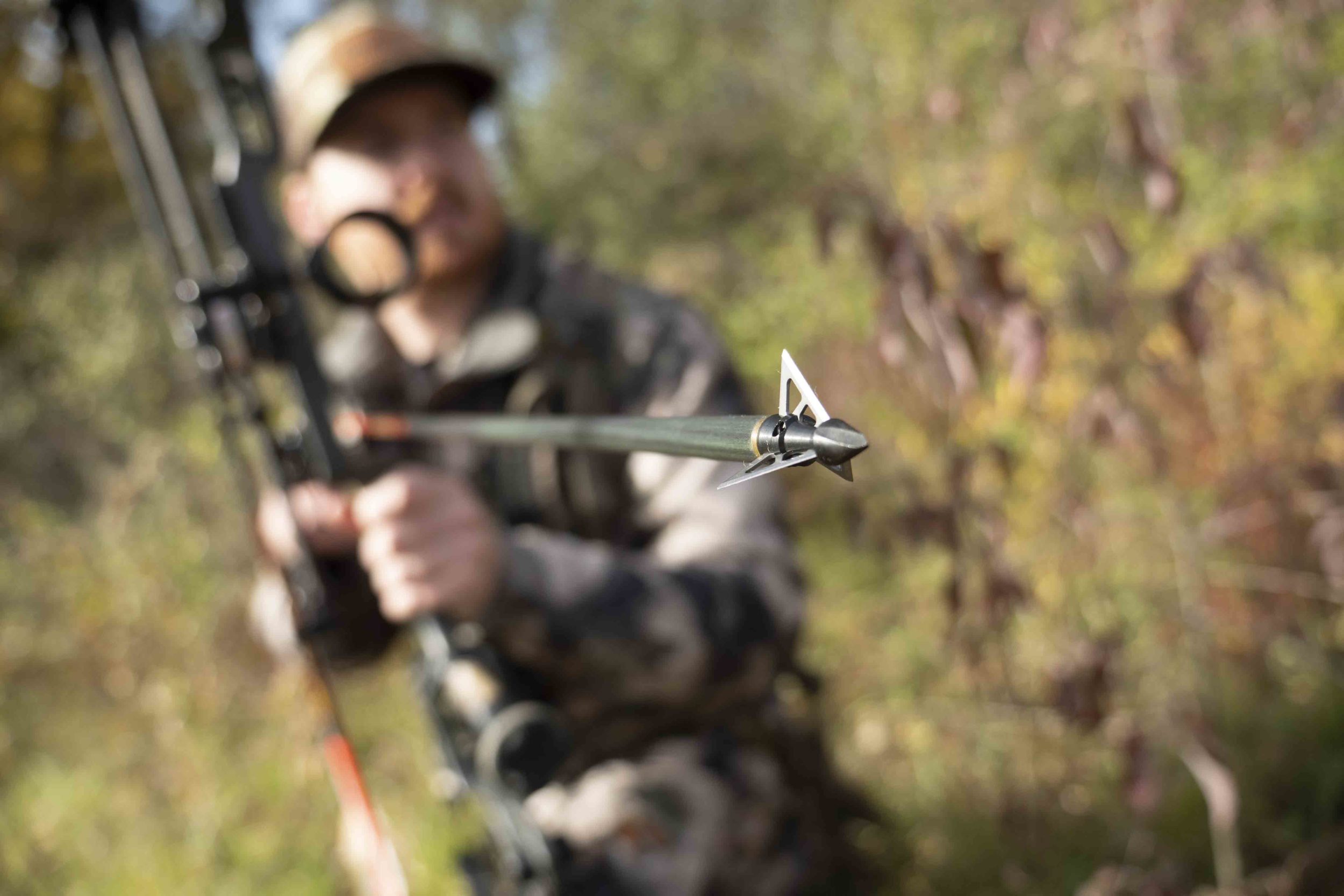 Best Broadheads For Whitetail Bowhunting Bowhunt 101 1164
