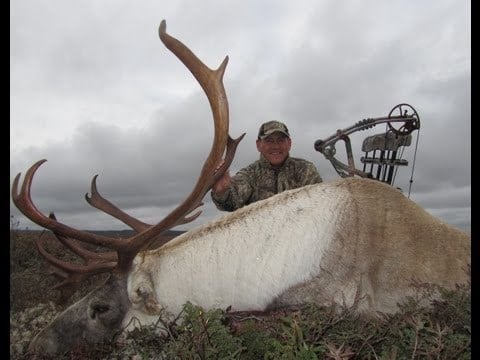 Caribou Hunting Archives | Bowhunting.com