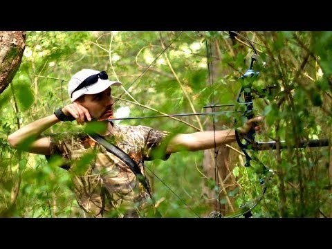 Moose Hunting Archives | Bowhunting.com