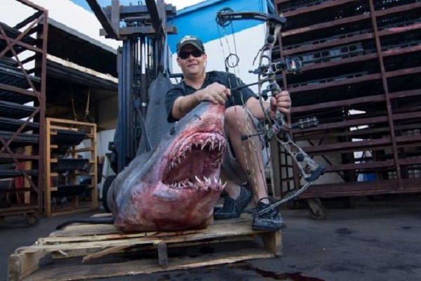 world record great white shark on rod and reel