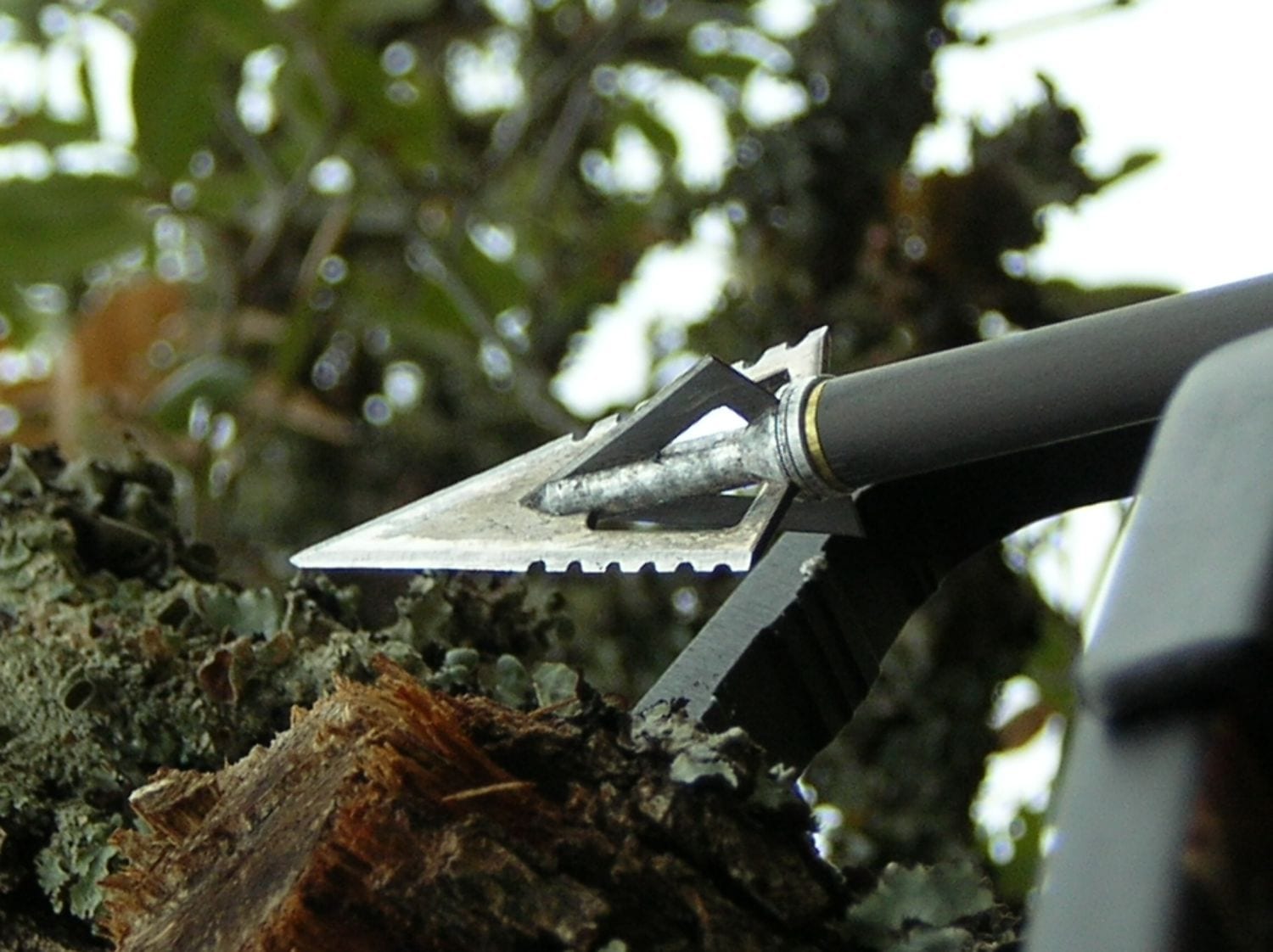 Which Broadheads Work Best For Crossbows? | Bowhunting.com