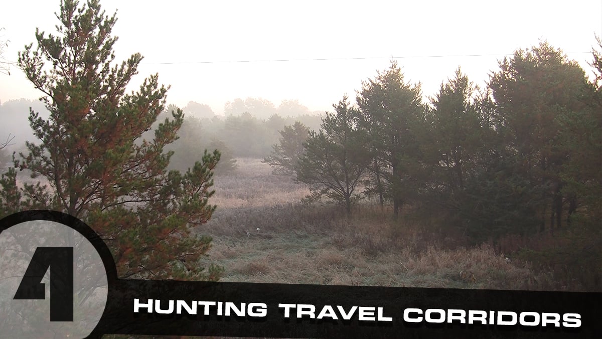 hunting deer travel corridors