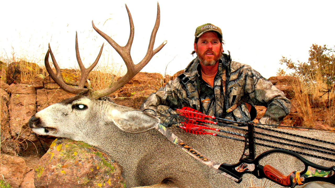 recurve bow hunting deer