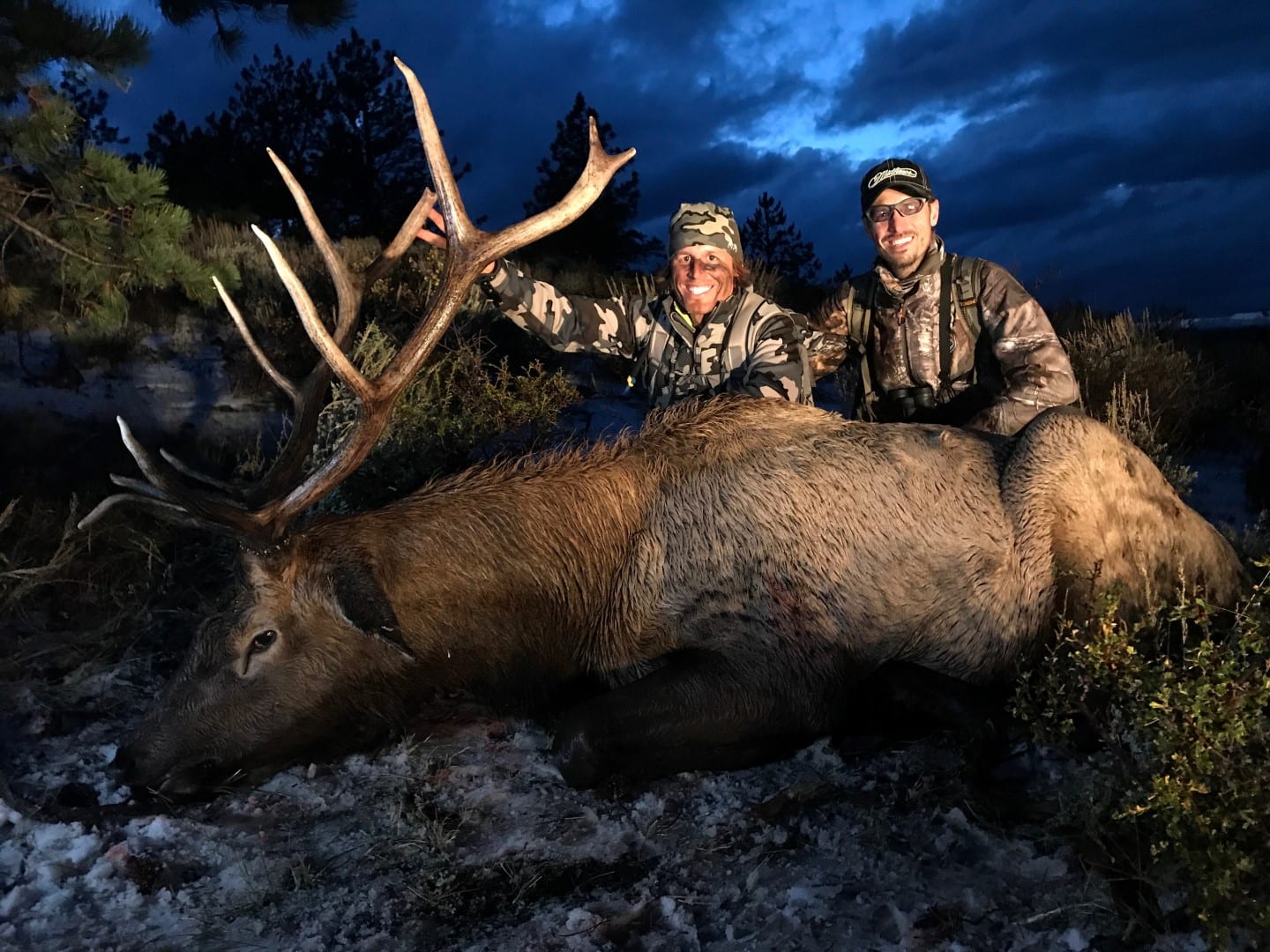 jamie-wyoming-bull-elk