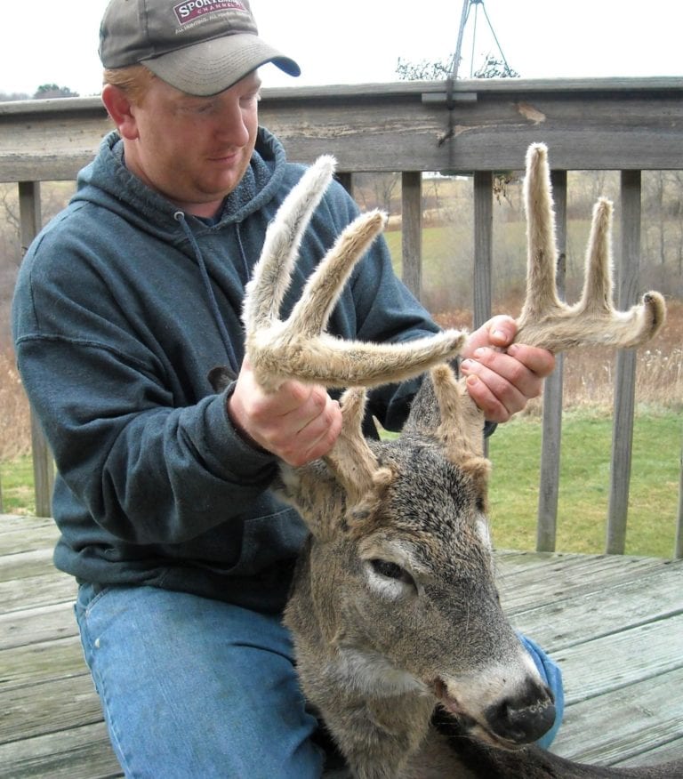 How often does a deer shed its antlers