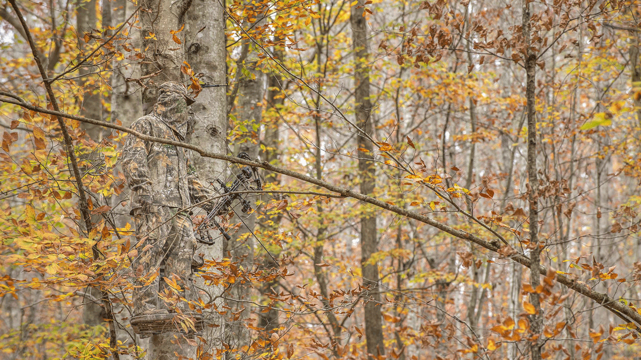 camouflage, real tree, realtree, hunter, camo, pattern, woods