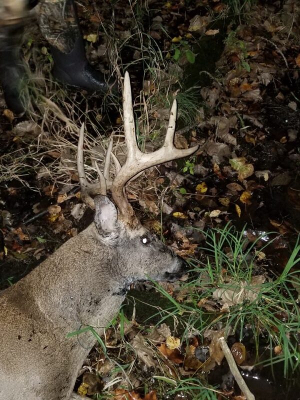 One Buck, Shot By Two Hunters, Who Gets the Deer? | Bowhunting.com