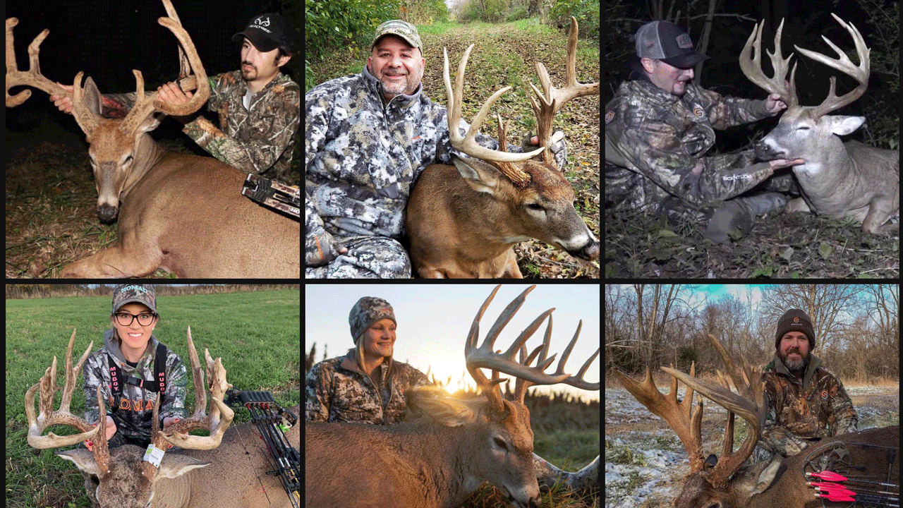 Big Buck Roundup Part 1