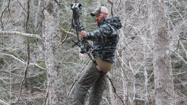 Tree Saddle Hunting: Is it the Next Big Thing for Mobile Hunters?