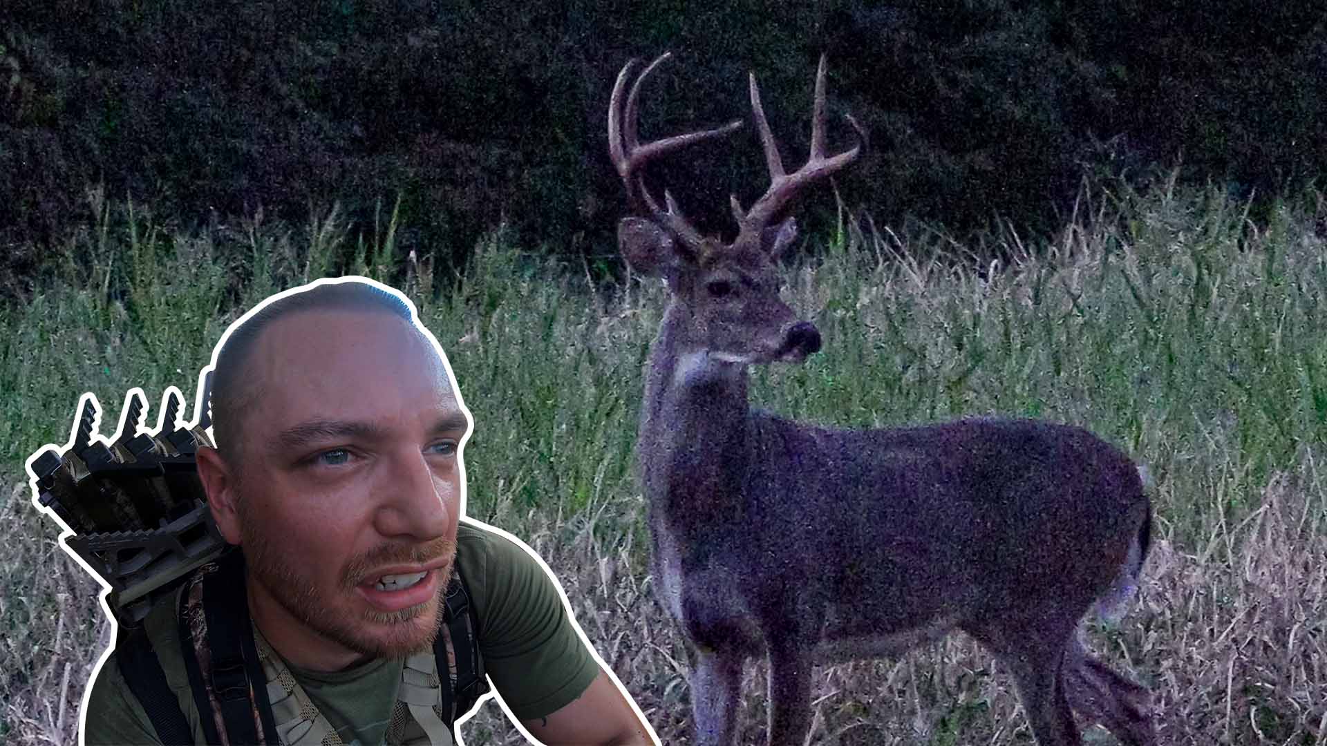 Bowhunting Public Land In Kentucky Heat | Bowhunting.com