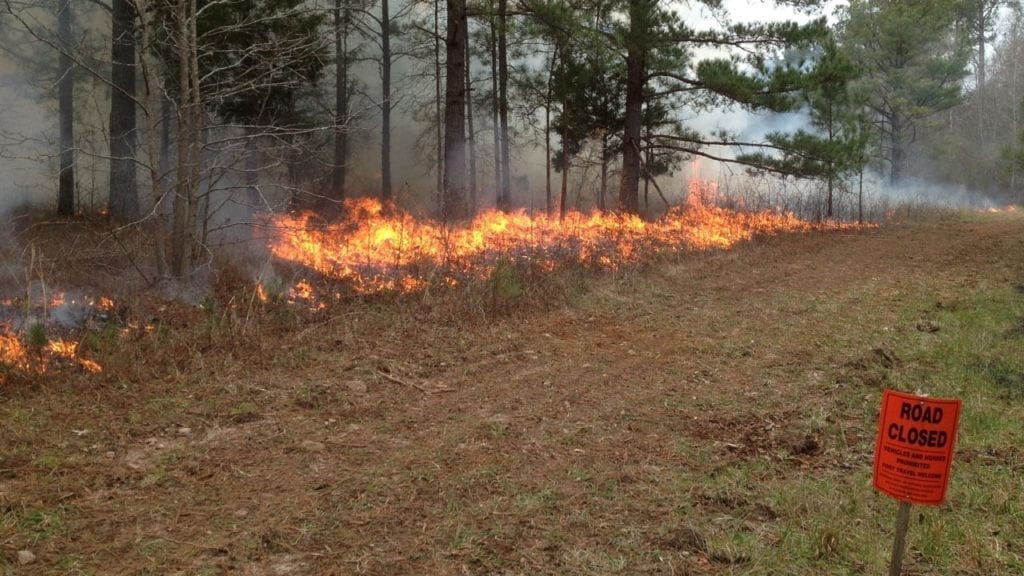 Getting Started With Prescribed Fire | Bowhunting.com