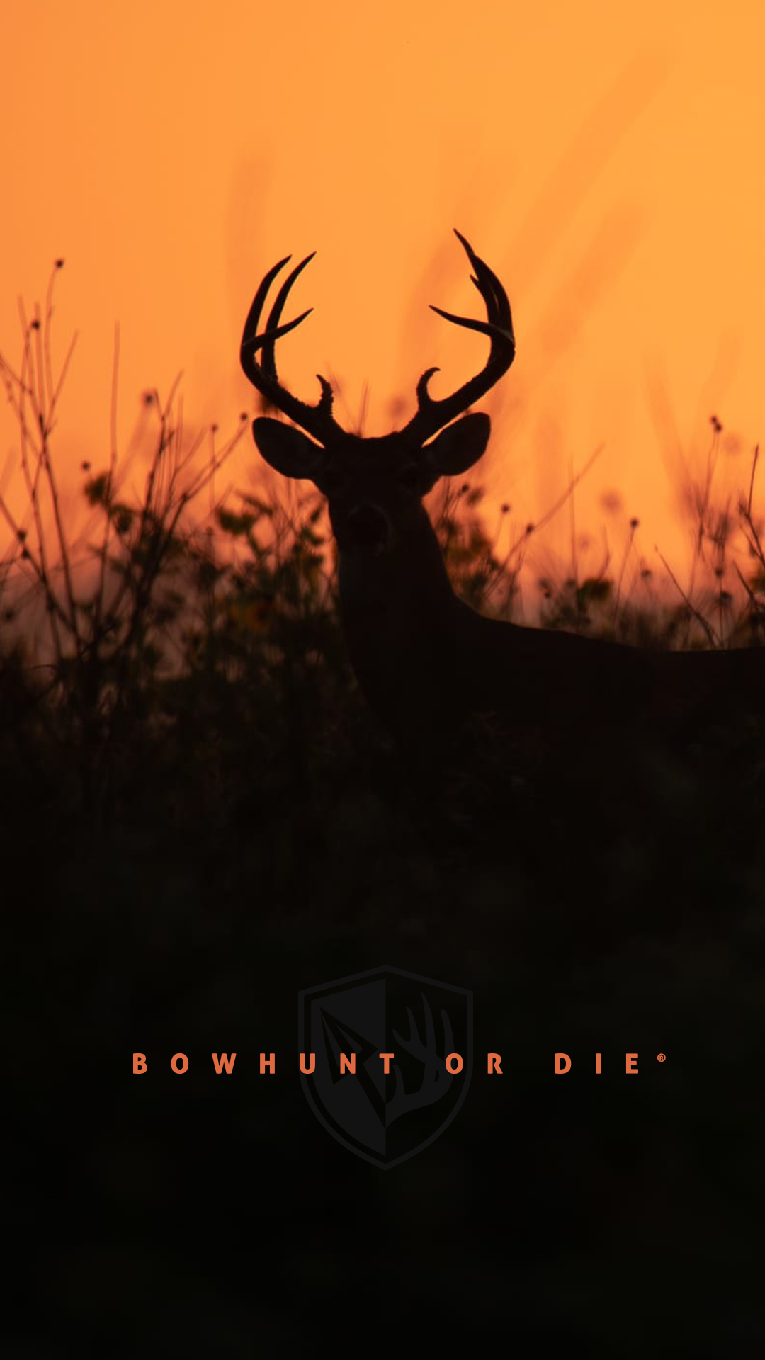 deer hunting wallpaper