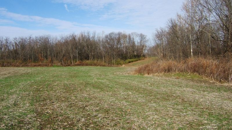 Great Hunting Land Available Near Shawnee National Forest