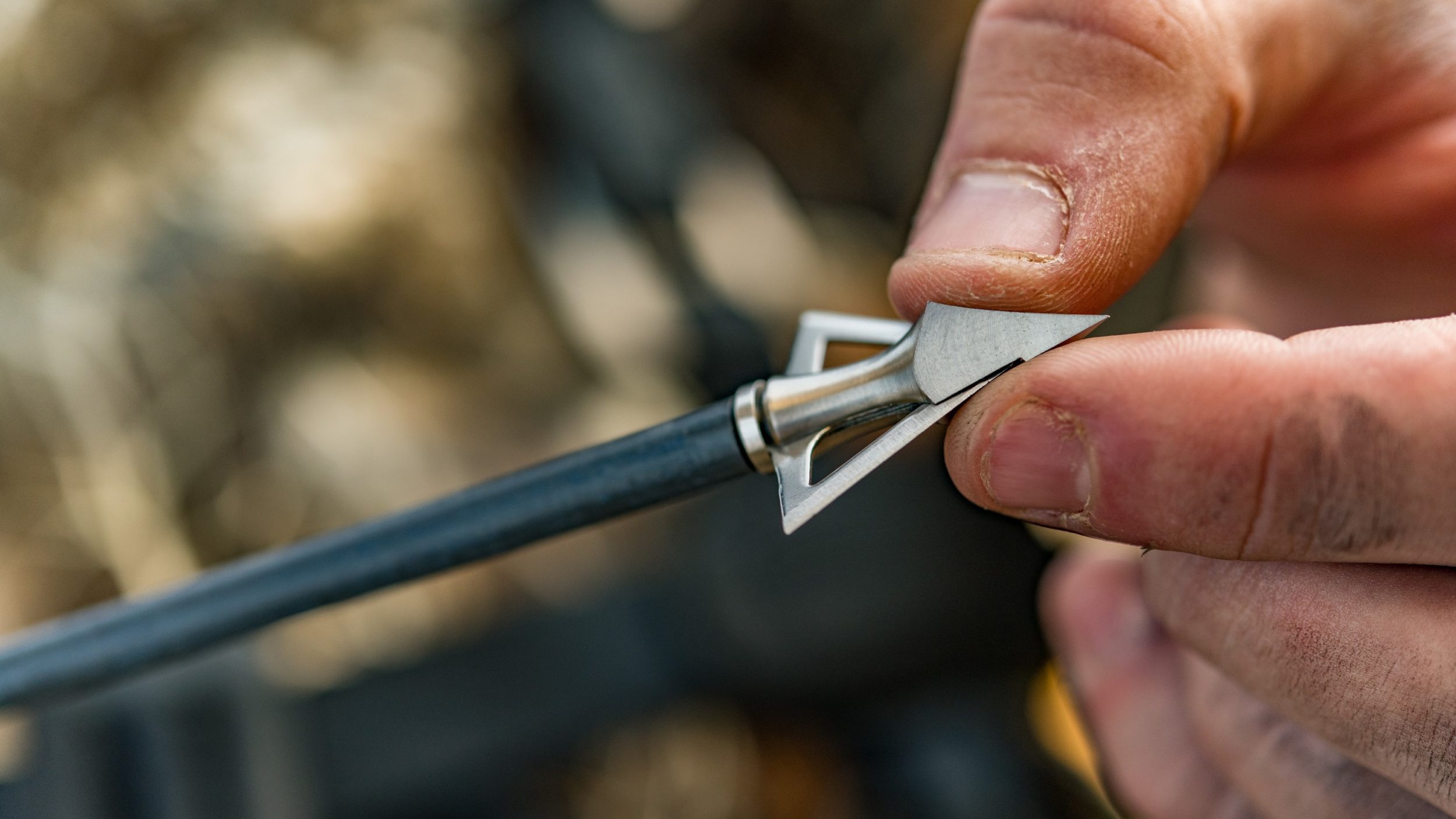 New Broadheads For 2022