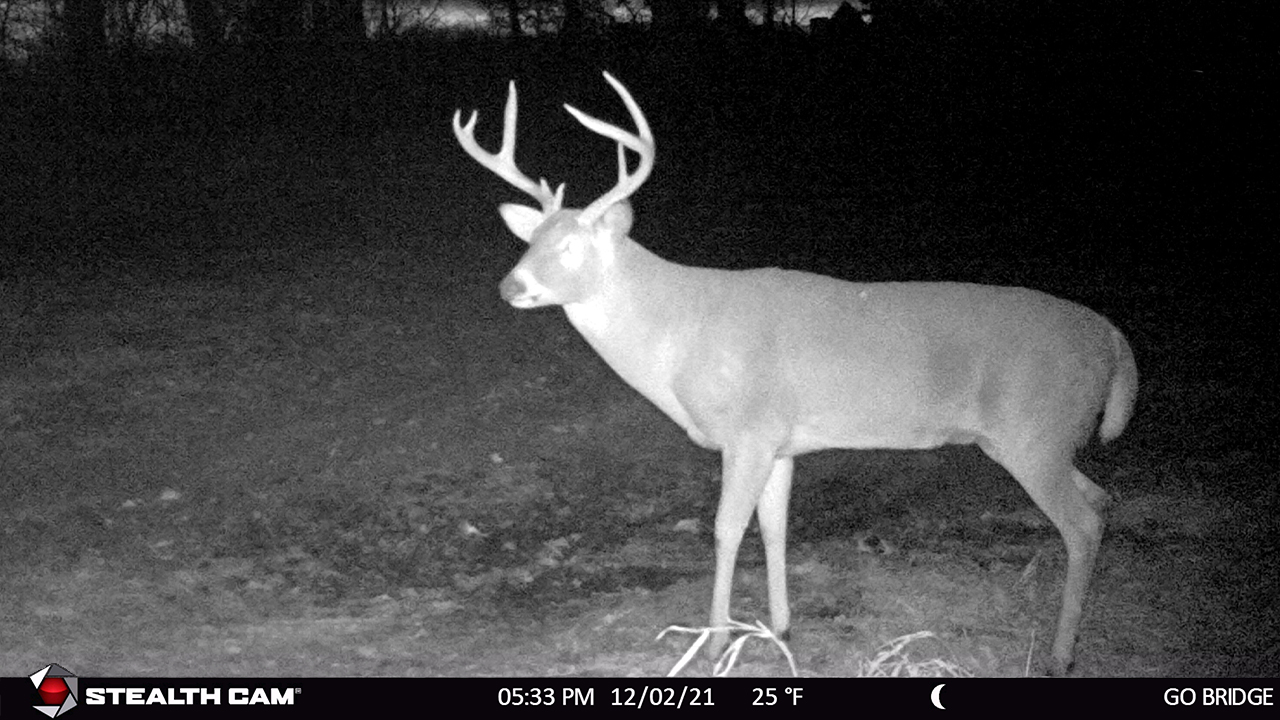 Age This Buck #20 | Bowhunting.com