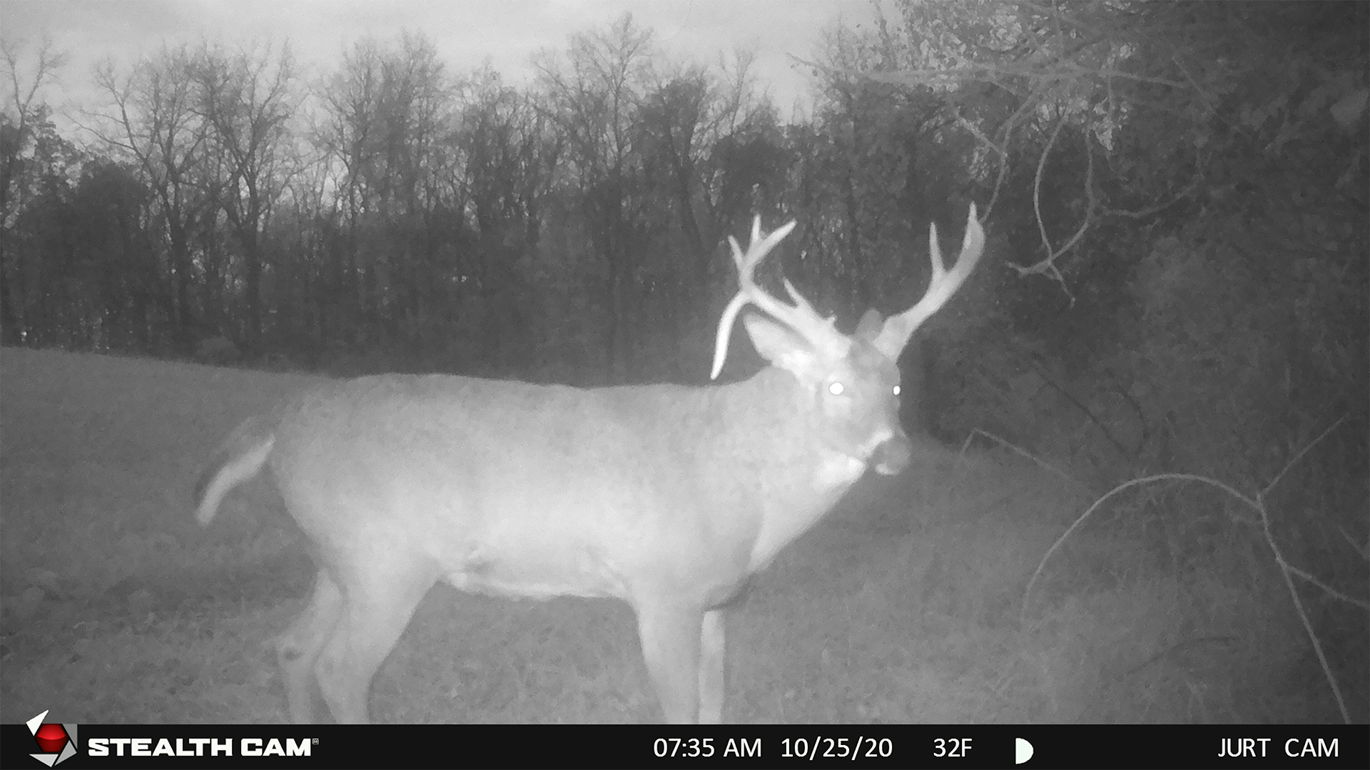 Age This Buck #23 | Bowhunting.com