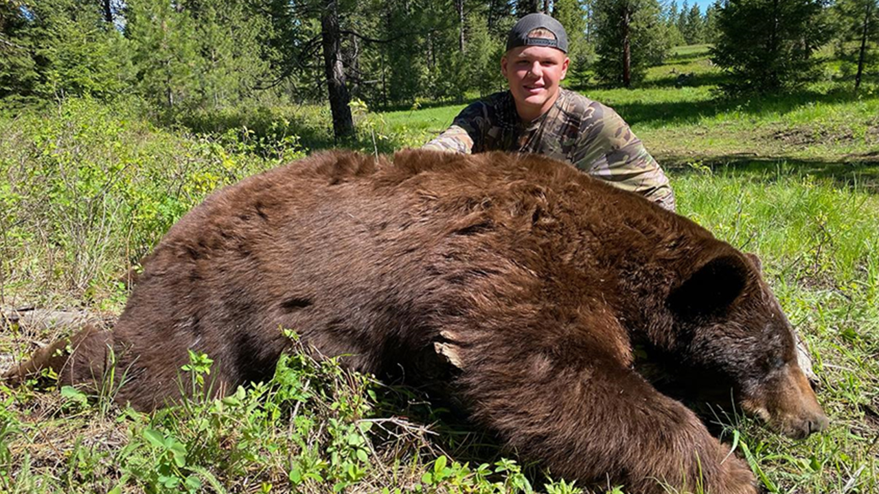 2023 Spring Bear Hunt Openings With Table Mountain Outfitters ...