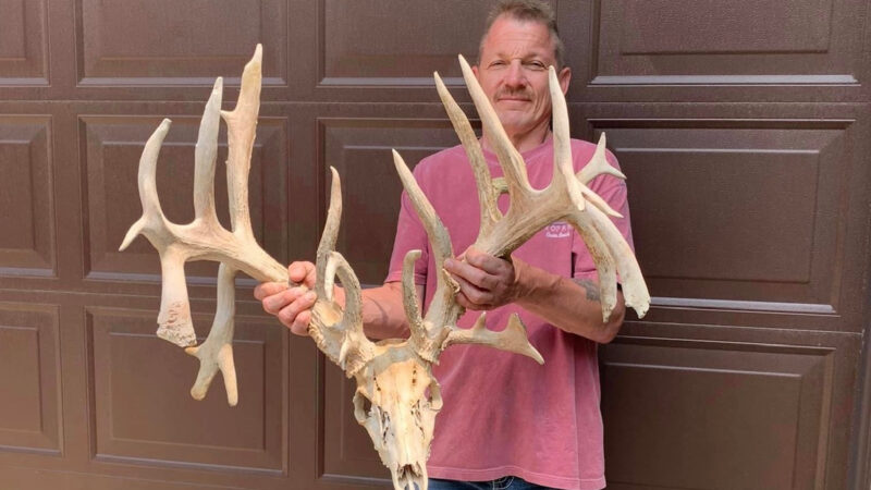 Giant Minnesota Deadhead Found