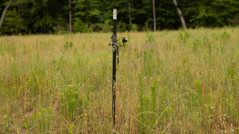 Man Sues Virginia's Wildlife Agency For Trespassing, Stealing