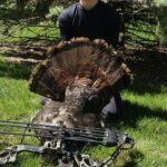 N/a Turkey In Minnesota By Vance Ahlers