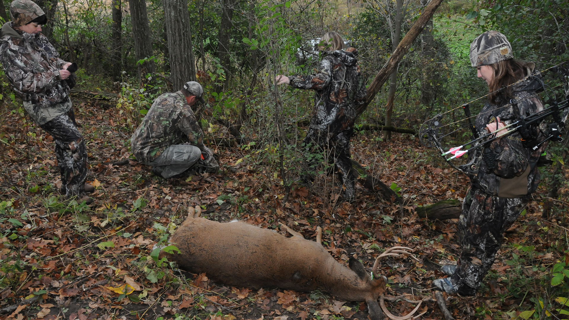 Wisconsin Rejects Archery Group Hunting For Antlerless Deer