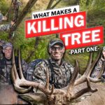 What Makes A Killing Tree Part 1