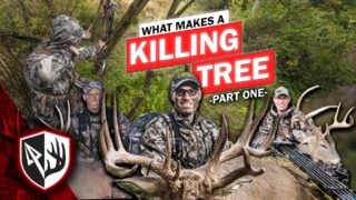What Makes A Killing Tree Part 1