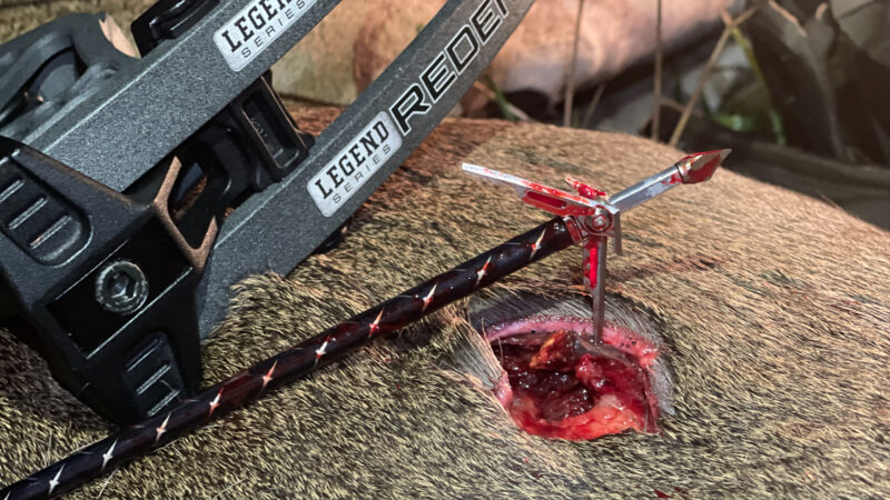 How To Build The Perfect Arrow For Deer Hunting