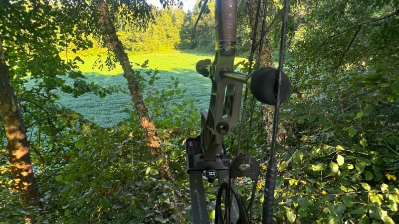 Tennessee Velvet Hunt Success