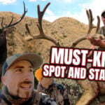 5 Must Know Spot & Stalk Tips