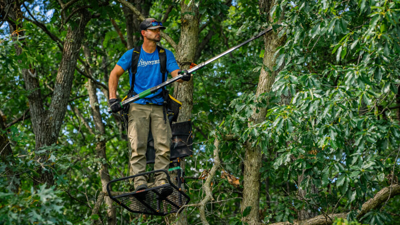 Summer Scouting And Stand Placement For Deer