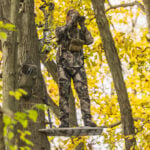 What Makes A Deer Killing Tree?