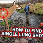 How To Find A Single Lung Shot Deer!