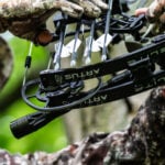 bowhunter in tree with new Elite Artus compound bow