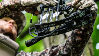 bowhunter in tree with new Elite Artus compound bow