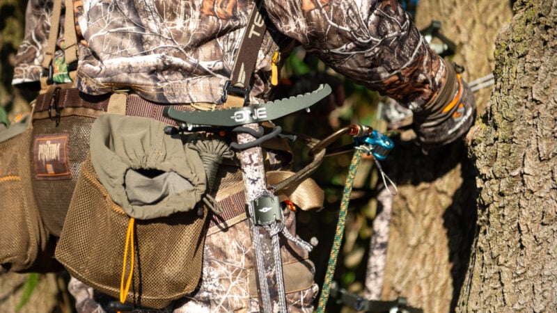 Bowhunting October Whitetails: Tactics For Mid Season Success