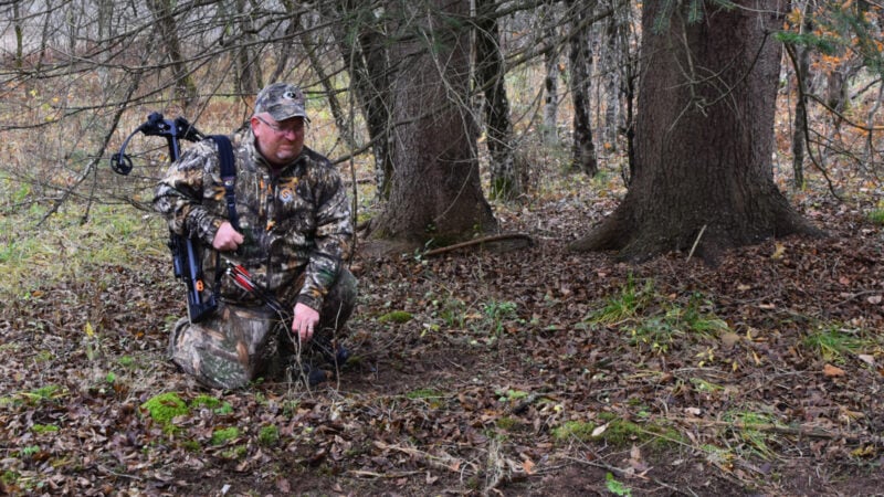 How Have Crossbows Impacted Hunting?