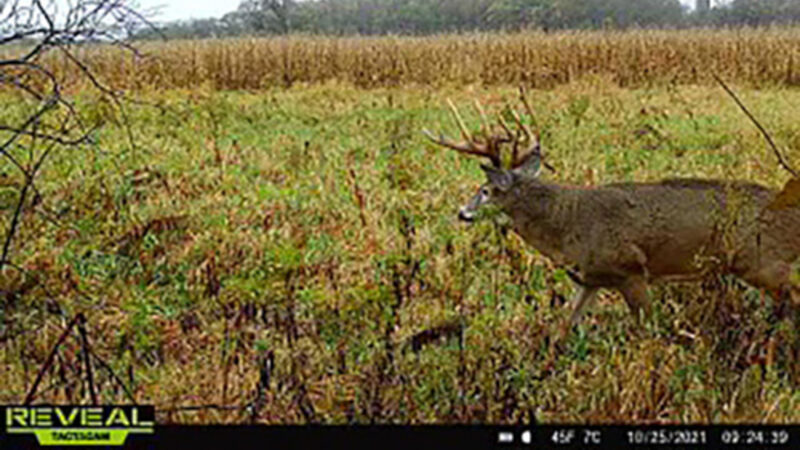 Wife Arrows Big Wisconsin Buck After Couple’s 6 Year Hunt