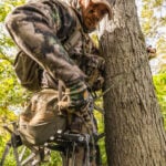 saddle hunter setting up in tree