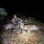 N/a Whitetail Buck And Doe In Northern Indiana By Andrew Keim