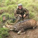 N/a Axis Deer, Rattled In During The Rut. In Hawaii When You Want To Fight We Say,"what Like Beef", Thus The Photo Title! In Maui, Hi By Bruce Faulkner