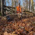 N/a Whitetail Deer In Mn By Joshua Swanson