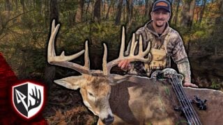 Big Buck Down Bowhunting 2024