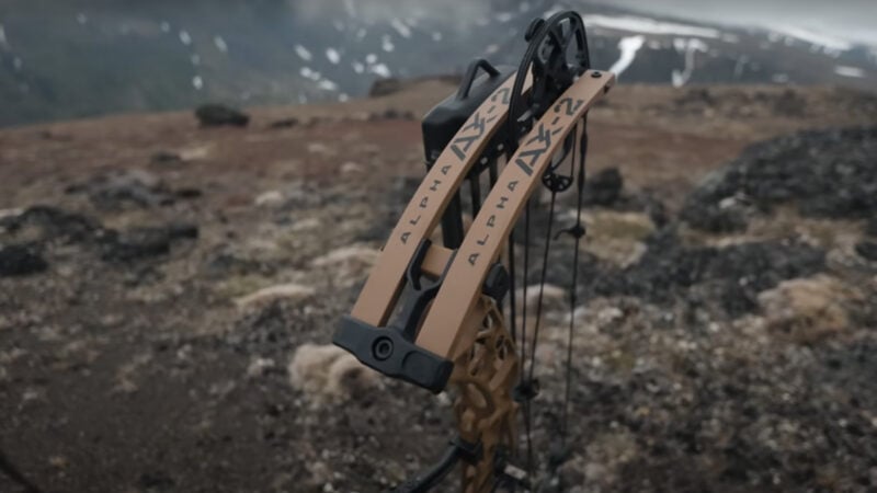 Hoyt alpha-ax-2 bow on the mountain