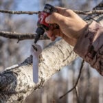 How To Use Scent During The Rut