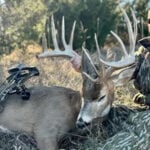 Big Buck Roundup Week 13