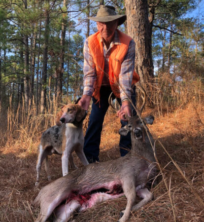 Deer Hunting With Dogs: A Lost Tradition