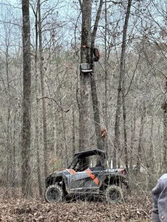 side by side in the woods by treestand